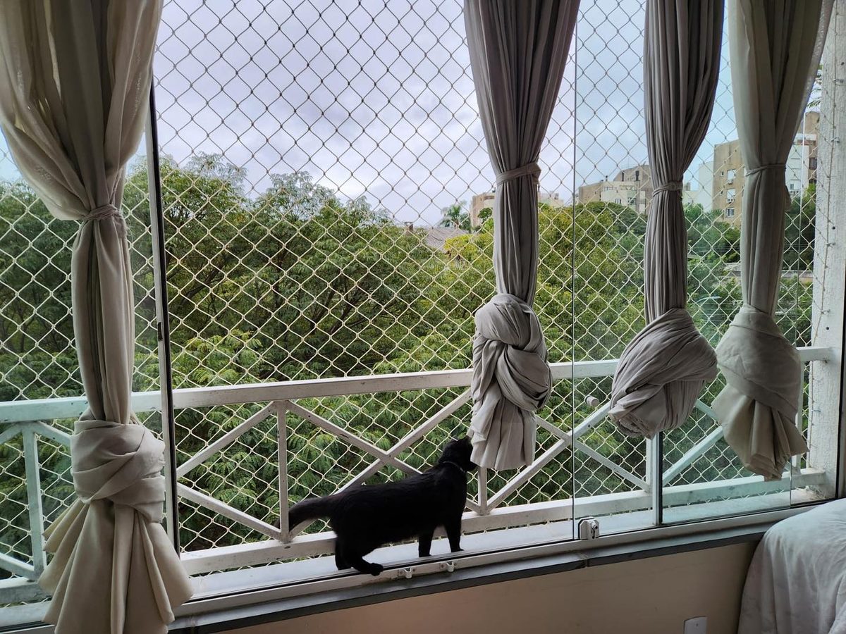 gatil para gatos Porto Alegre